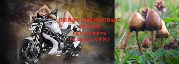 герыч Новокубанск